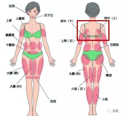 同样的年纪关晓彤活成壮汉 张雪迎却是真正的少女 知乎