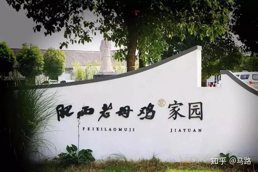 走进肥西老母鸡家园就走进了老母鸡的世界.