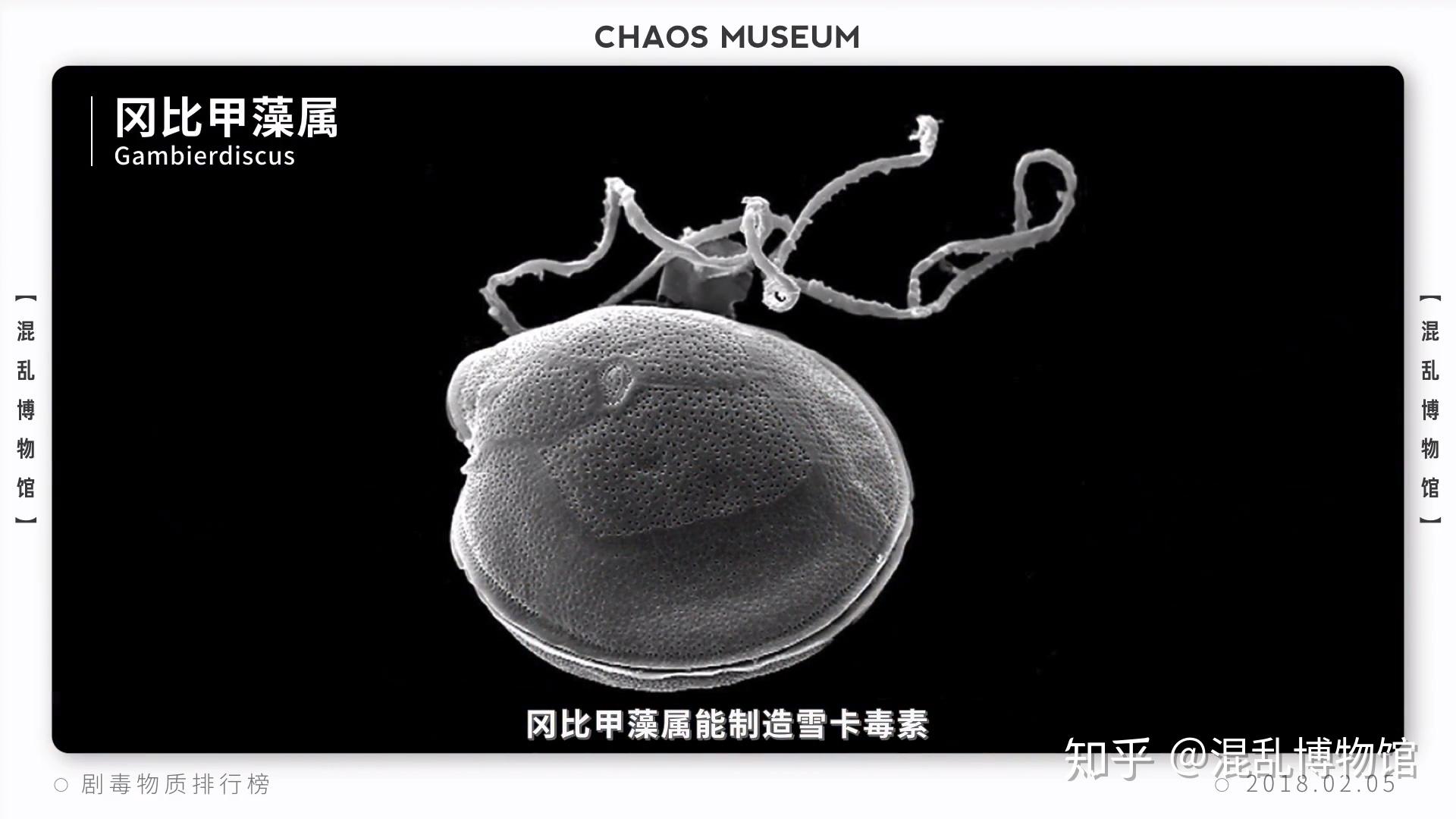 这世界上最毒的物质是什么? 知乎