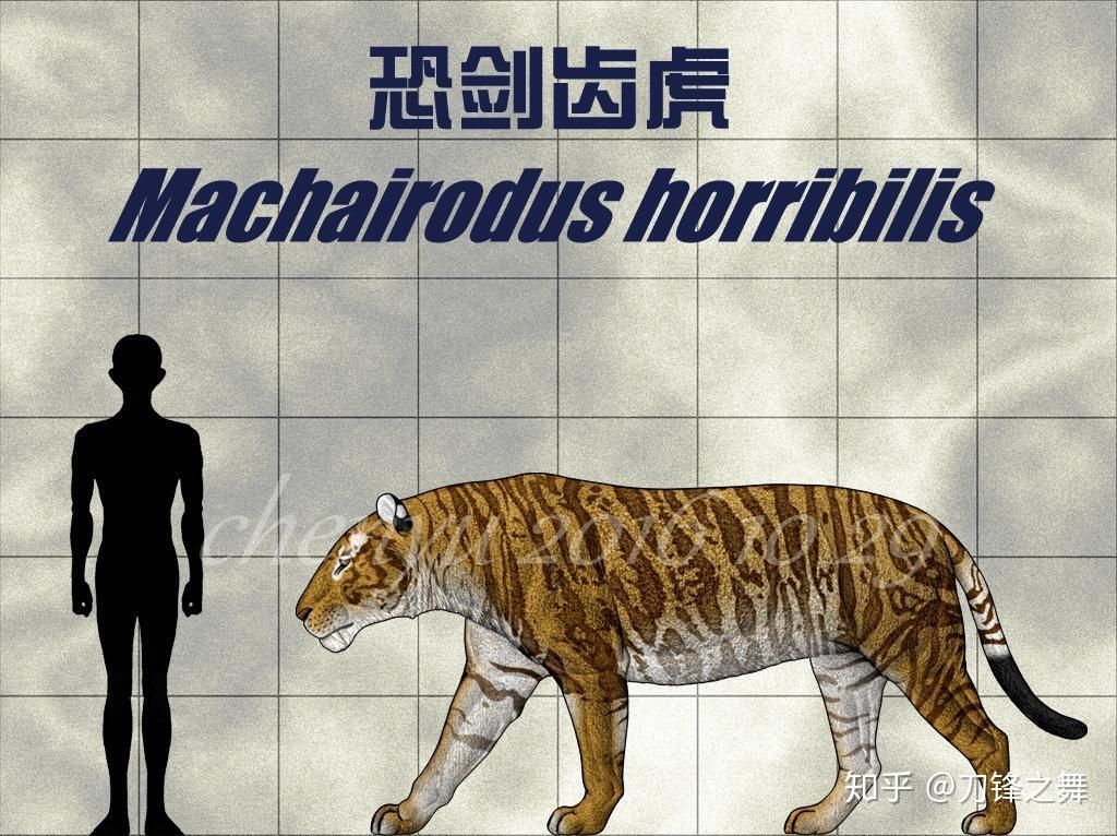 剑齿虎打得过狮子老虎吗