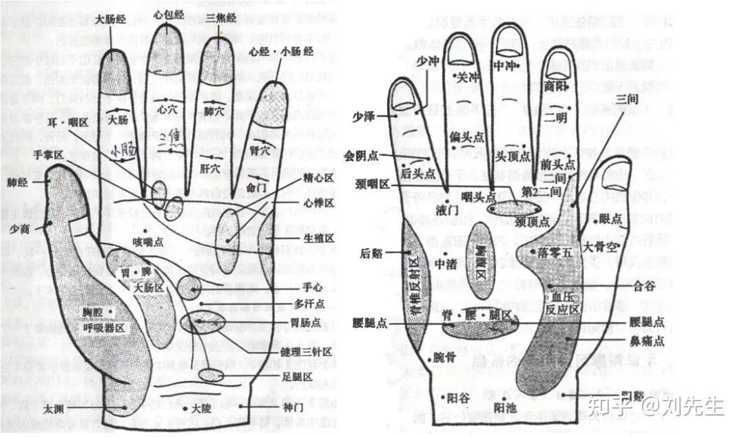 中医 常做5个手部动作+10指运动,疏通经络、防病健体 - 知乎
