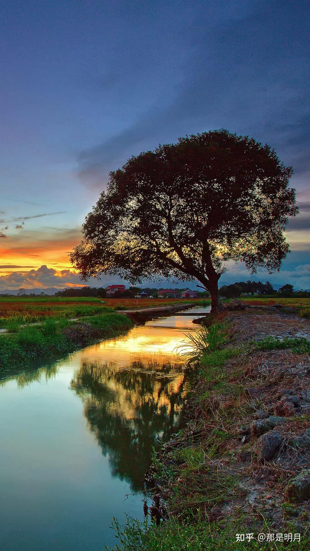 有没有很阳光清新绿色自然让人心情好的风景壁纸