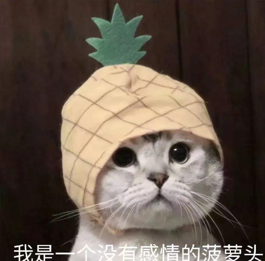 如何才能不打咕噜 v2-c84b57cbd91f7bc91a745c2e6d964988_1440w.jpg?source=172ae18b