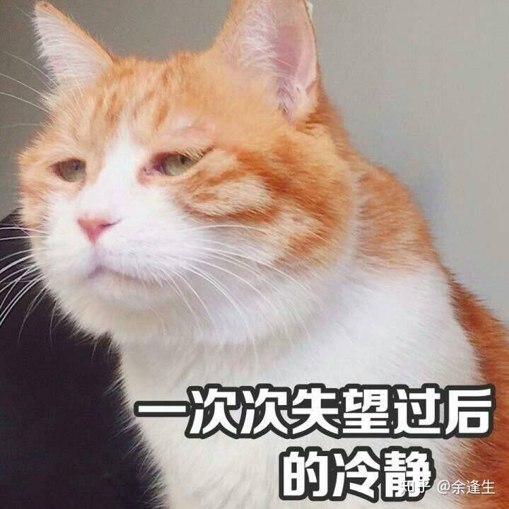 不知道有没有玩soul的大佬,听说soulmate需要很