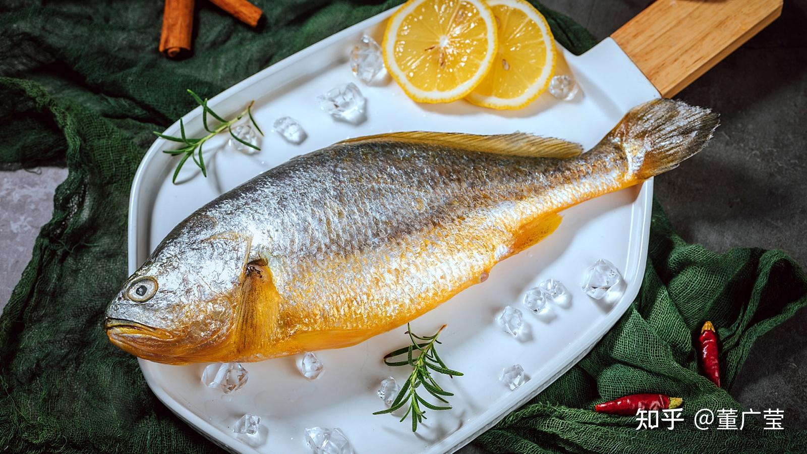 大黄花鱼小黄花鱼是竞争关系吗