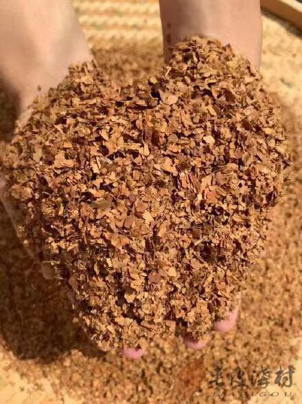 关东烟六道沟夹皮沟黄烟旱烟地理标志性品牌作物