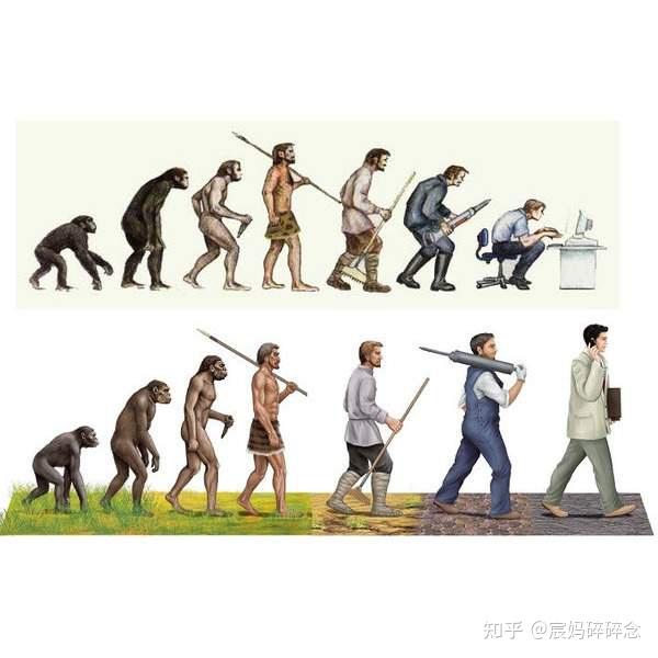 到底人类是怎么进化而来的?