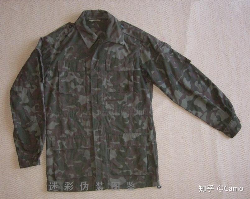 苏联/俄罗斯的ttsko(butane)迷彩有多少种花色? - 知乎