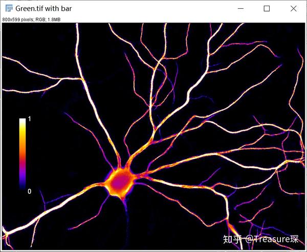 ImageJ实用教程——伪彩与Calibration Bar(基本功能篇) 知乎
