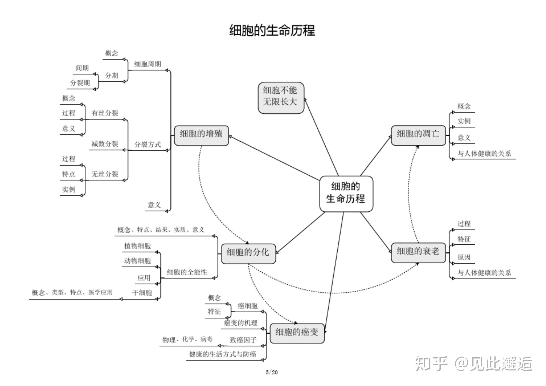 新课标高中生物知识网络图,思维导图高清版,一到三轮复习必备! 