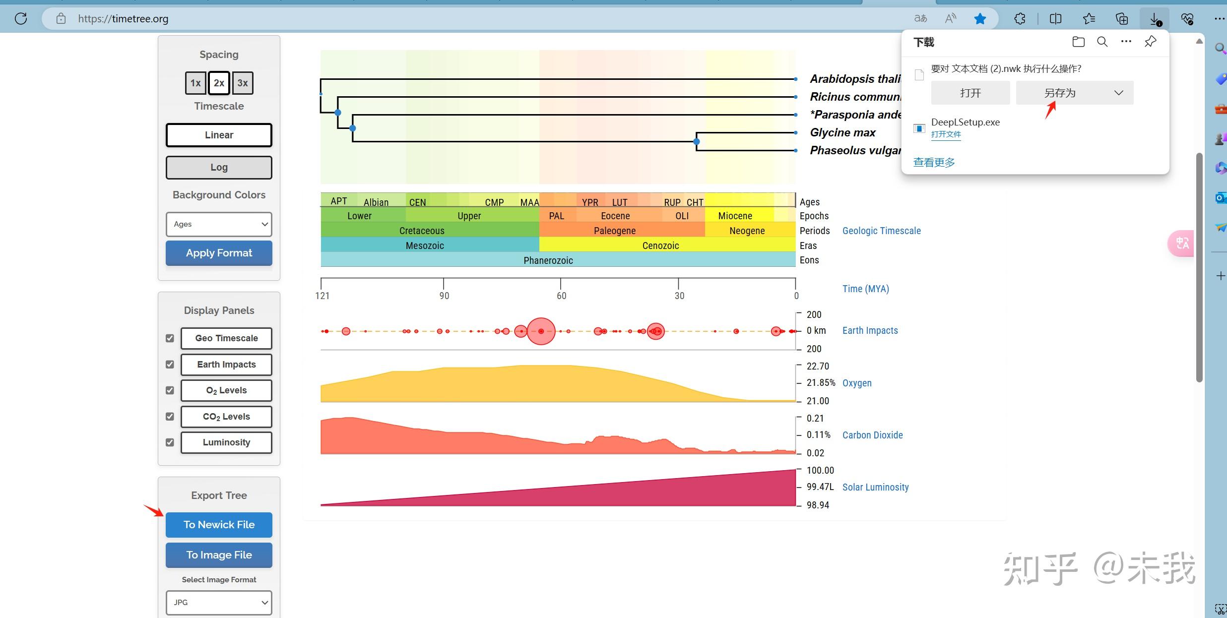 物种树构建 - 知乎
