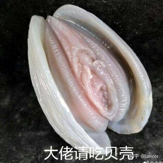 各位带哥有没有什么沙雕表情包可以分享啊