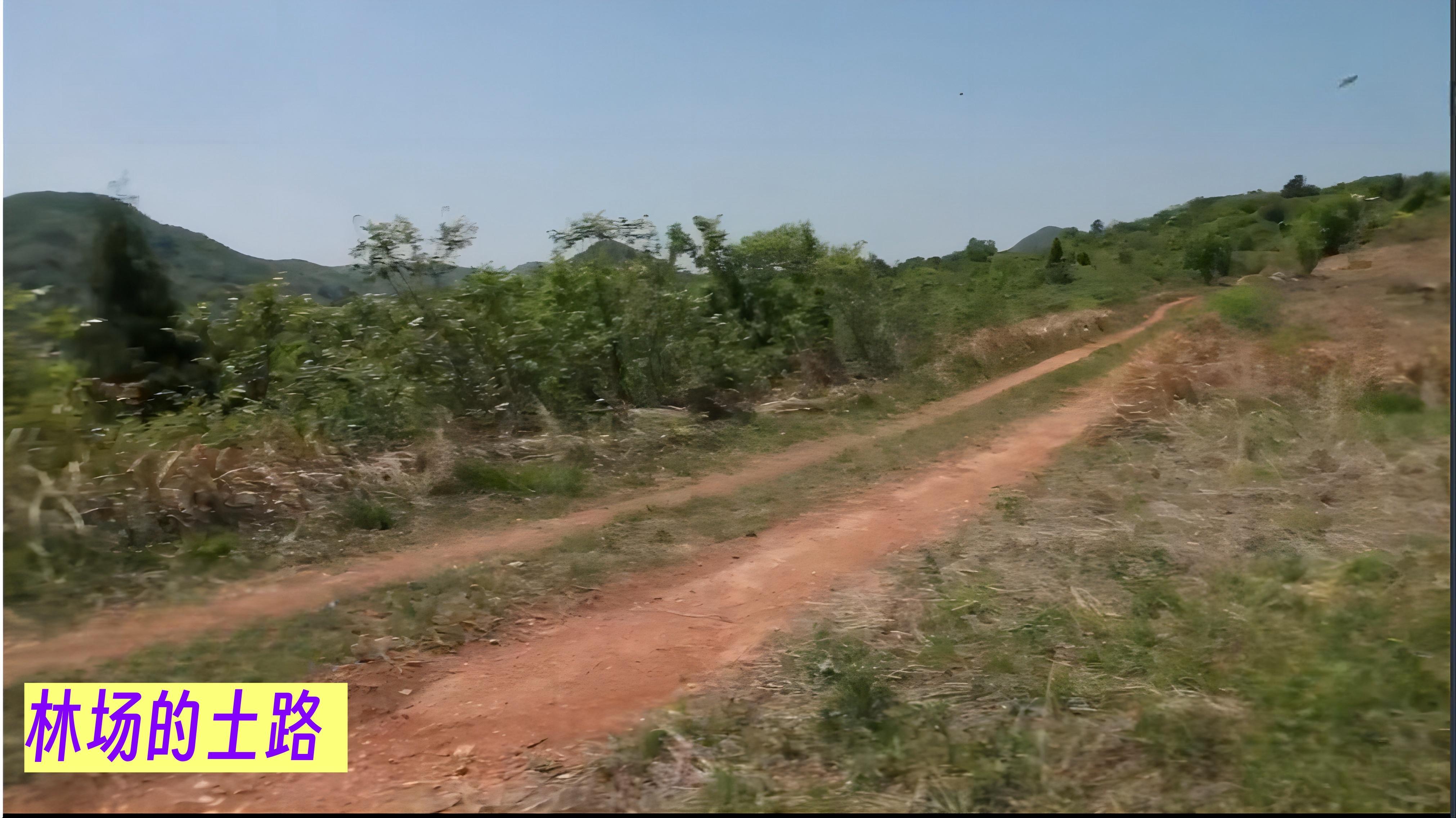回顾京山2018年母女双尸案:女子尸体全裸,女童年仅4岁太悲惨!