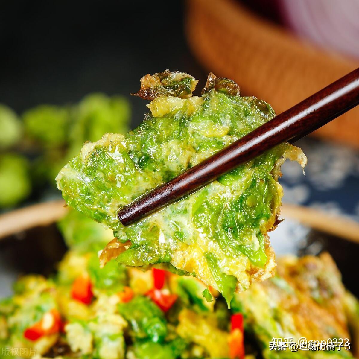 家中房前屋后的榆钱可以吃了,这7种吃法,比肉还好吃,钱多多来 - 知乎