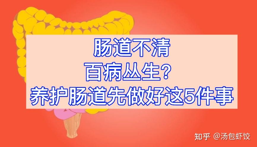 肠胃不好怎么改善？有何征兆？三招教你肠胃不好怎么改善，调养“不良胃” 知乎