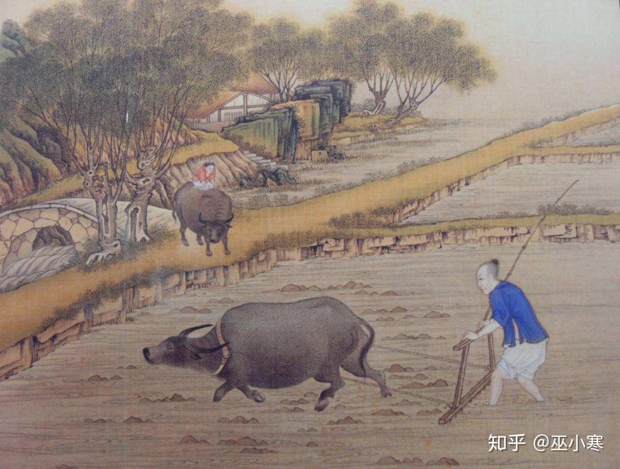 高产作物对世界的影响有哪些？ - 知乎