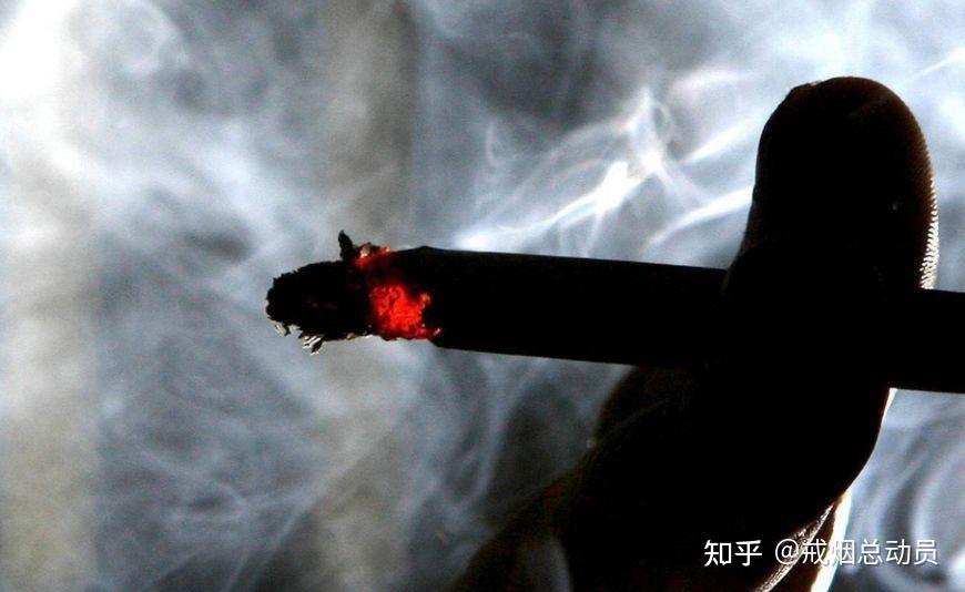 如何拒绝“应酬烟”?其实真的很简单! - 知乎