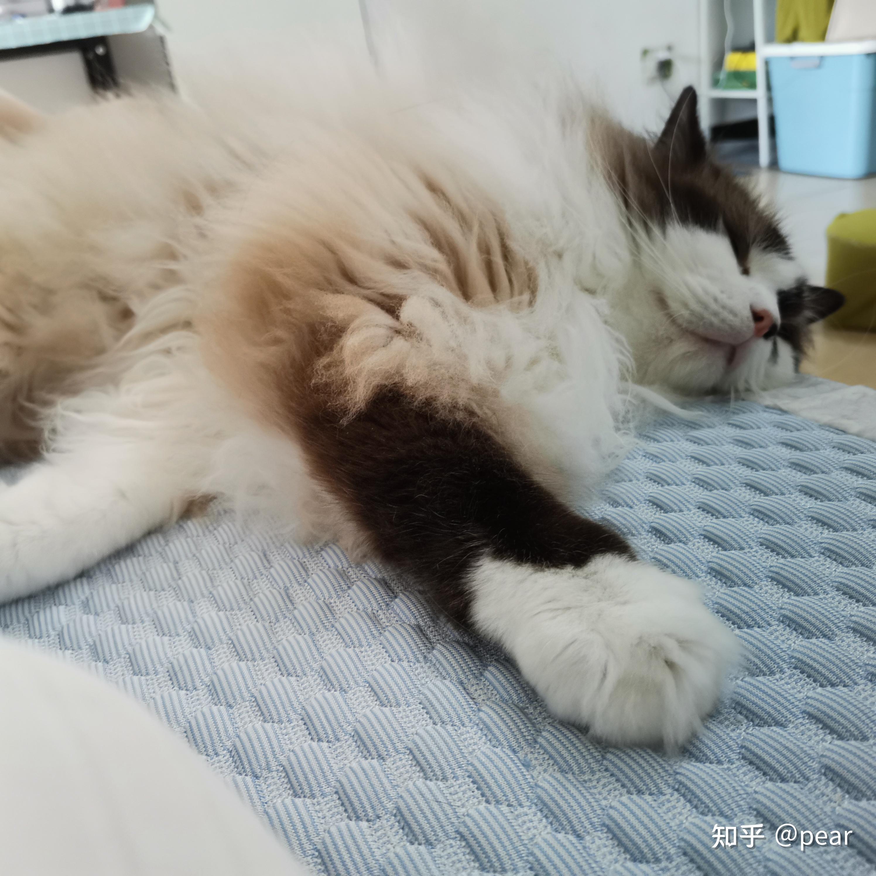 关注者 3,945 被浏览 835,608 关注问题 67 写回答 67 邀请回答