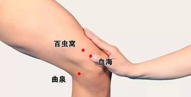 百虫窝穴怎么找?准确位置图|及作用功效- 知乎