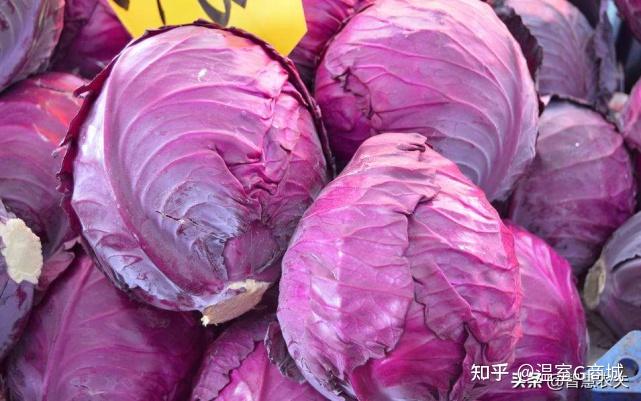 紫色土豆,紫色玉米,紫色辣椒