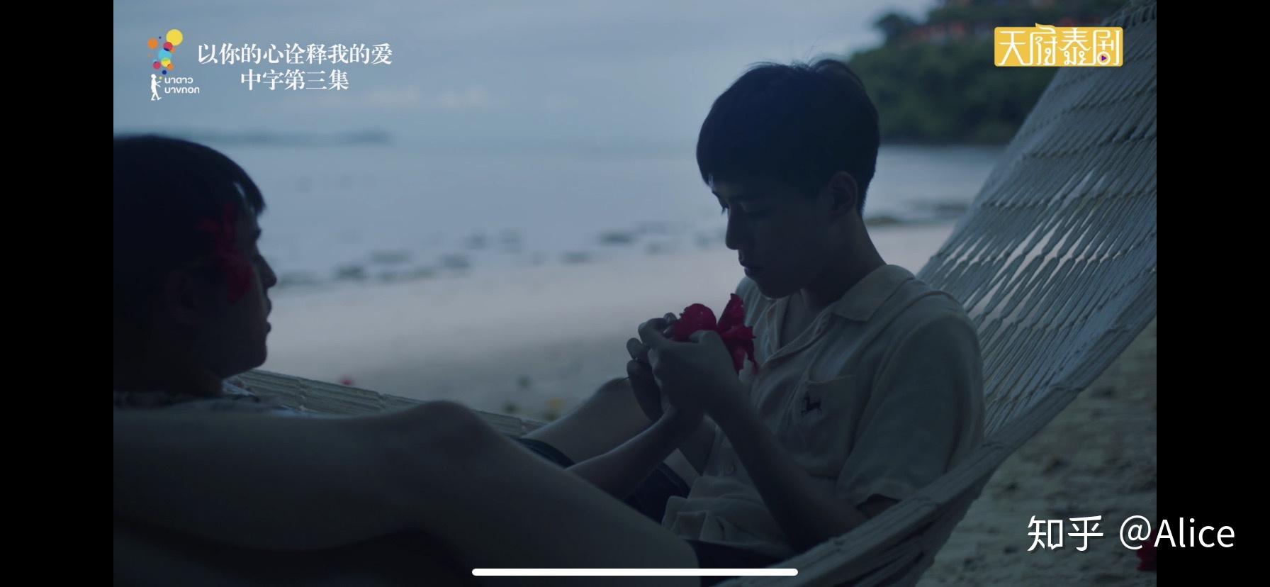 以你的心诠释我的爱开在心里的红色扶桑花