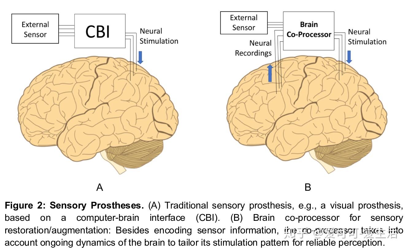 algorithms to control prosthetic devices based on brain signals