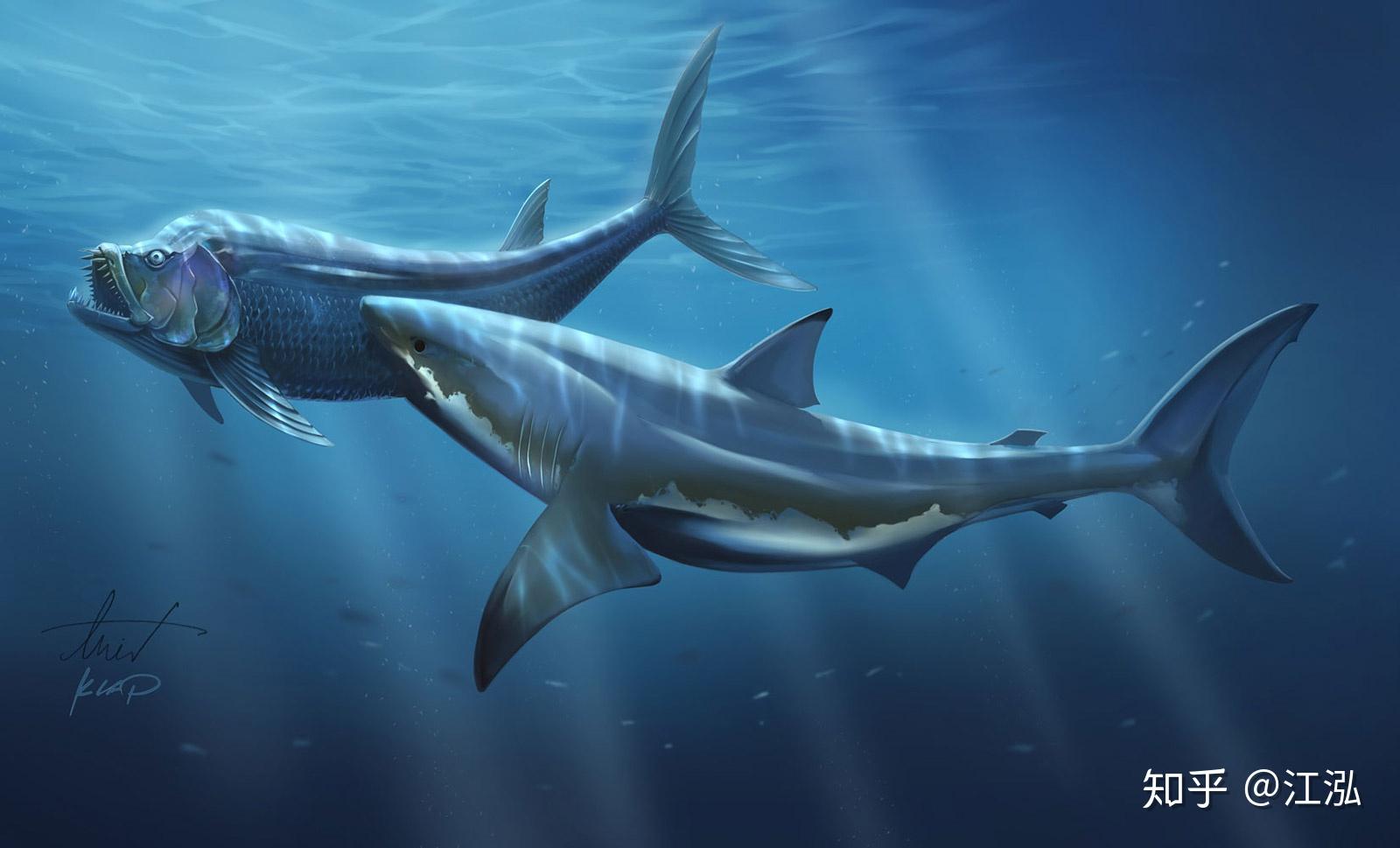 沧龙vs巨齿鲨，从5个维度分析，谁才是真正的海洋霸主-度小视