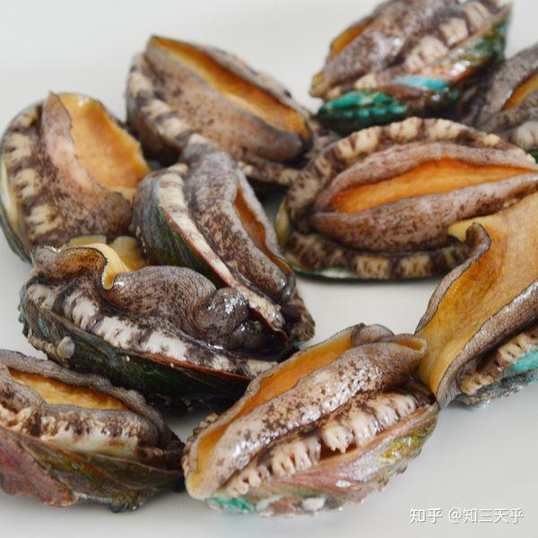 如果「龙王爷」是带货主播,能把什么东西卖成爆款?