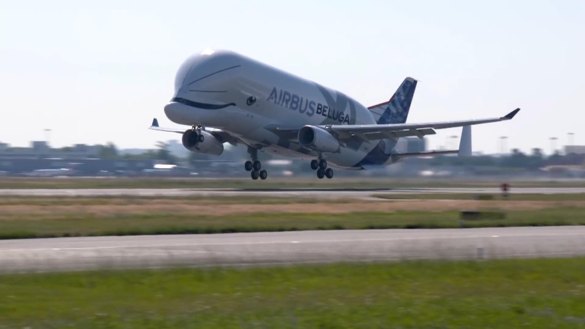 空客a330-700l这架飞机外形合理性如何,安全系数与常见客机比如何?