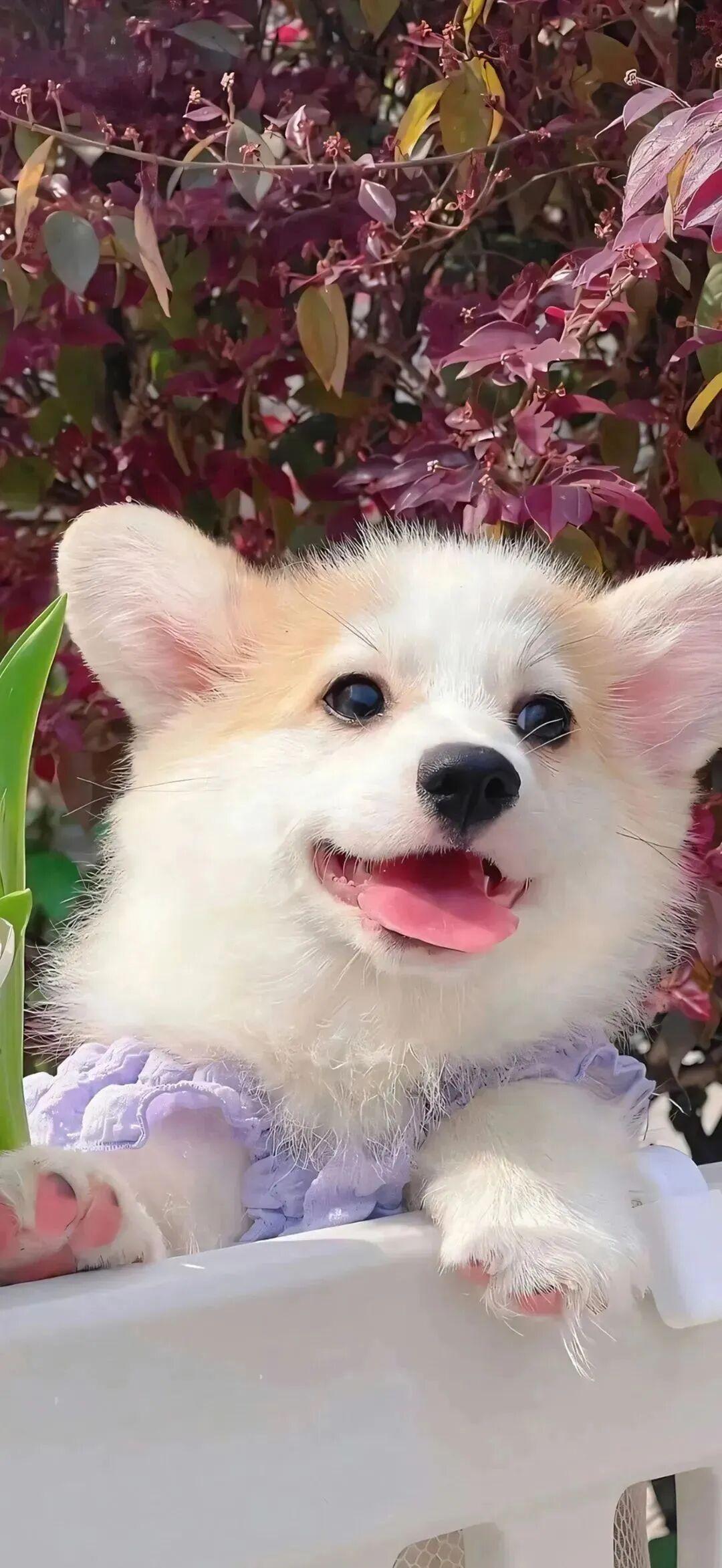 超可爱卡通壁纸,高清卡通手机壁纸,打工人手机壁纸,全屏壁纸100张