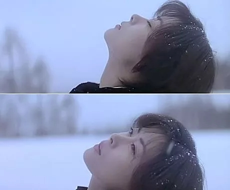 书评岩井俊二情书