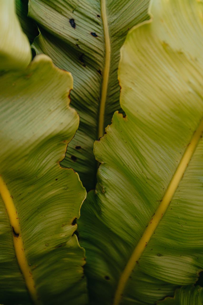 3. 低温耐受范围