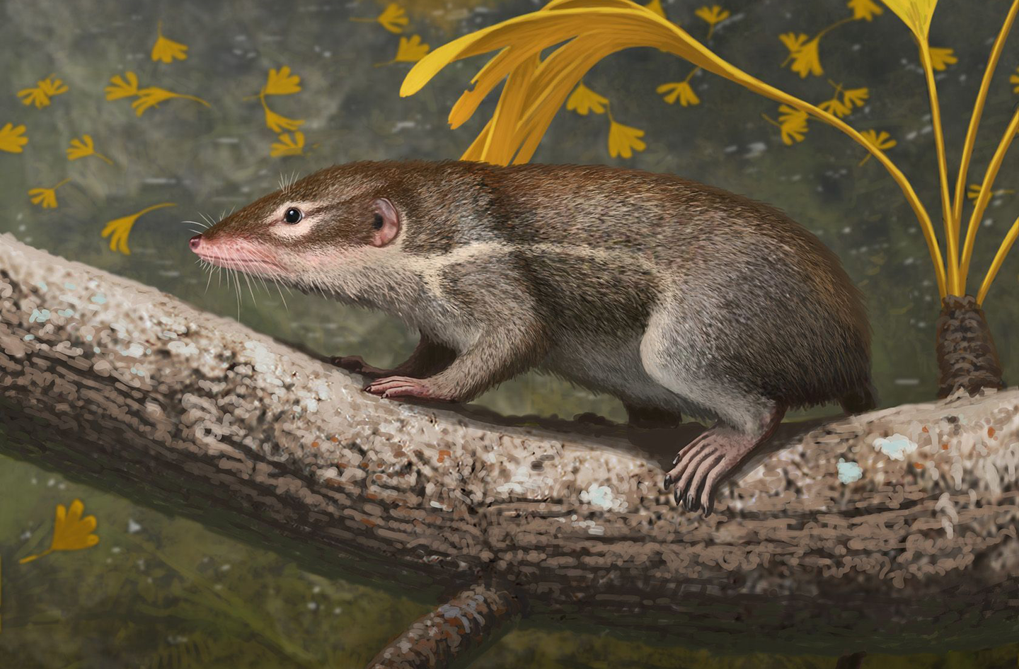 在恐龙时代 鲜有体型巨大的哺乳动物可与之抗衡 这是为什么 知乎