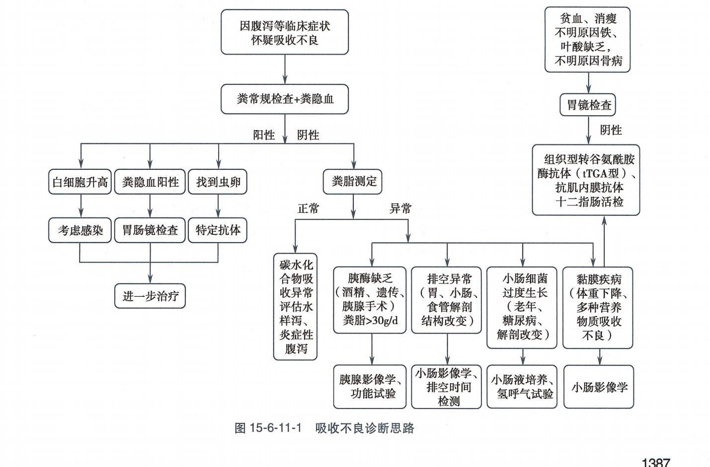 乳糜泻 - 知乎