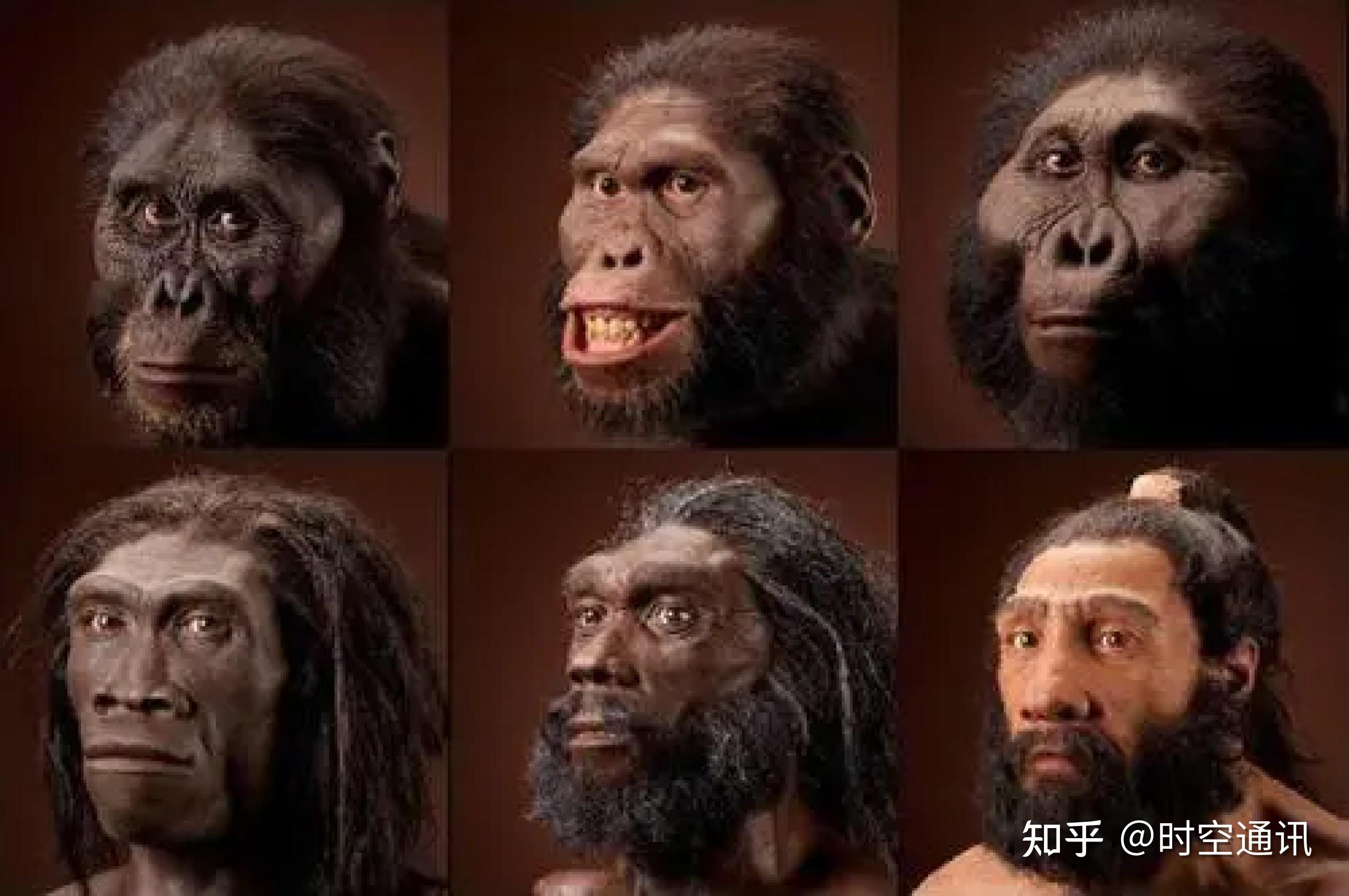 科学网—拜谒110万年前亚洲最早直立人蓝田猿人 - 姚远的博文