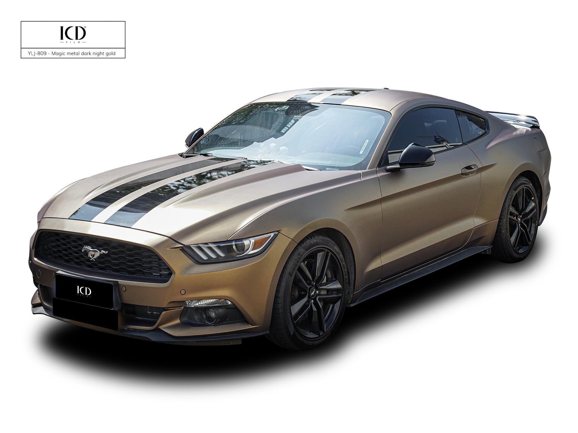 野马暗夜金 - 知乎