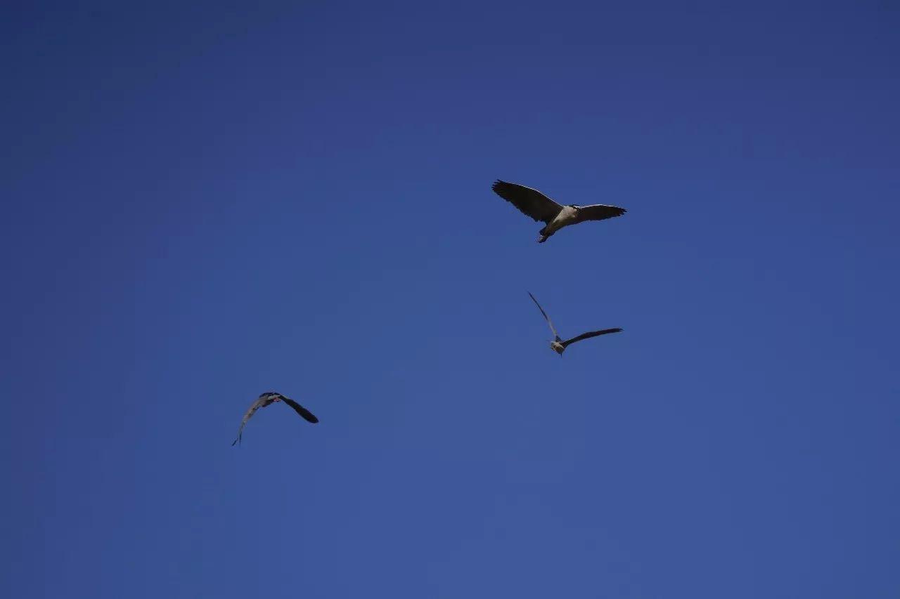 索尼A7M3画质与对焦性能测试