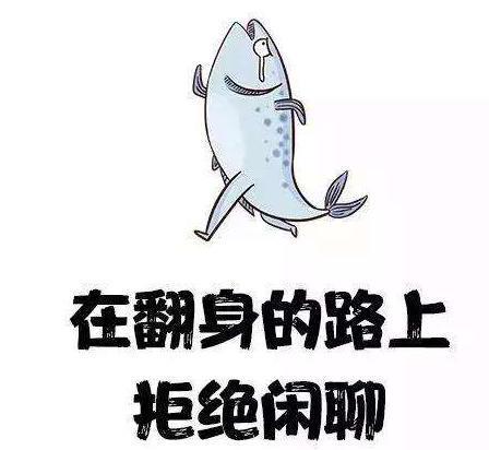 怎么上岸才叫真的上岸 v2-c8f7c3f3449936e7e81086f2fc6a4066_1200x500.jpg