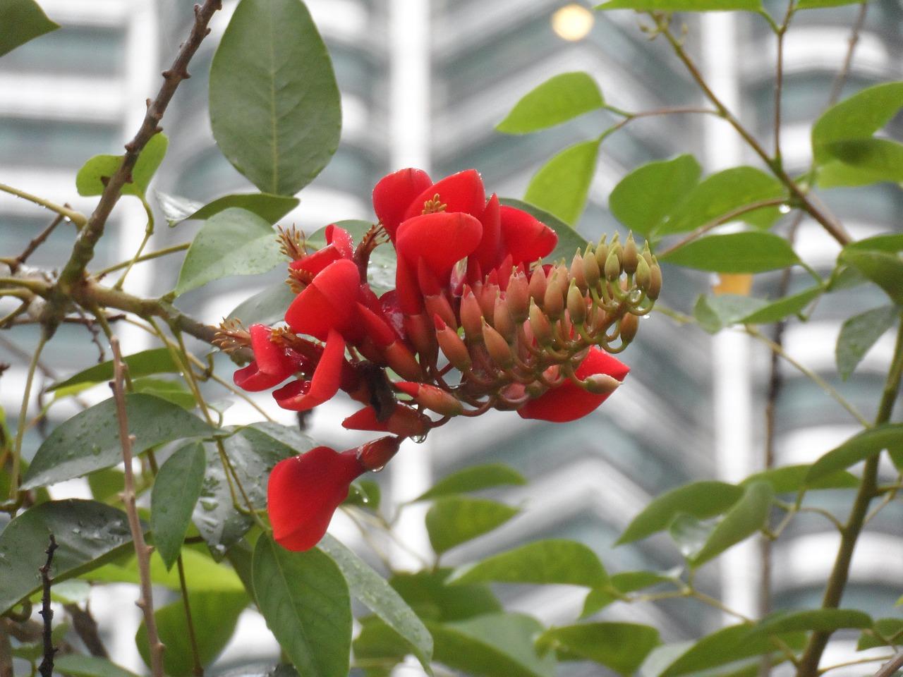 5. 立邦漆价格表