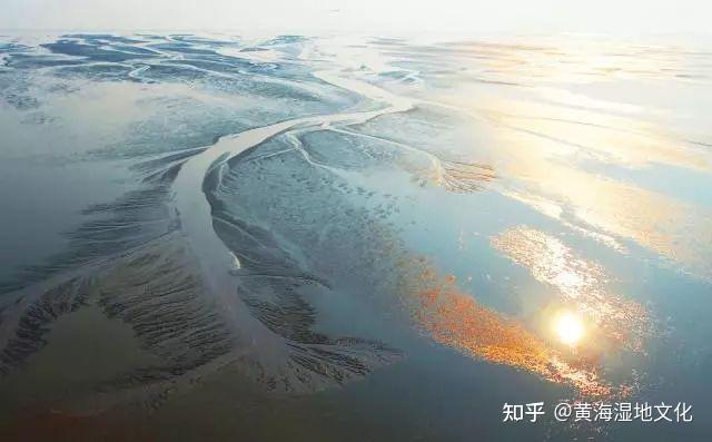 海湿地地形特点图片