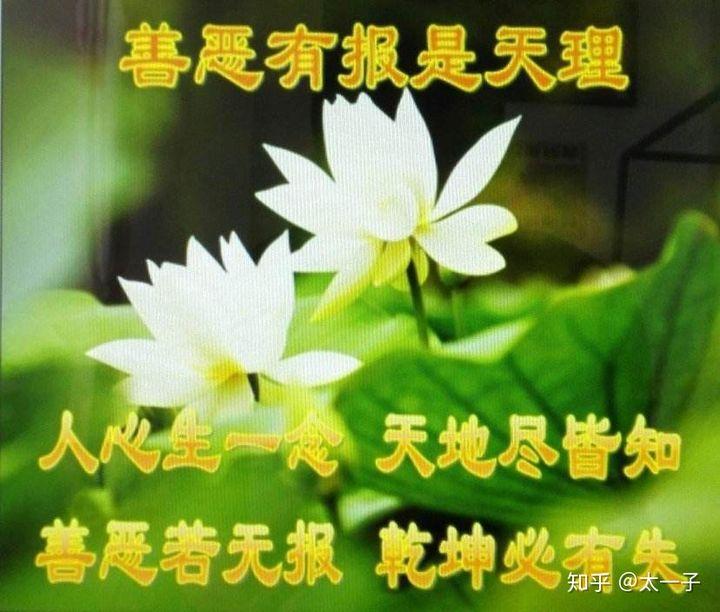 《因果游记》第十六回:鲸鱼百世因贪财