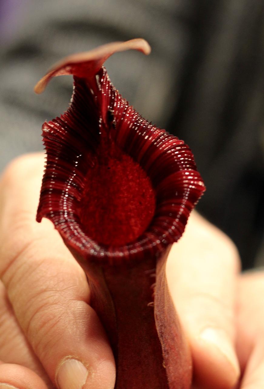 二手房选购要点