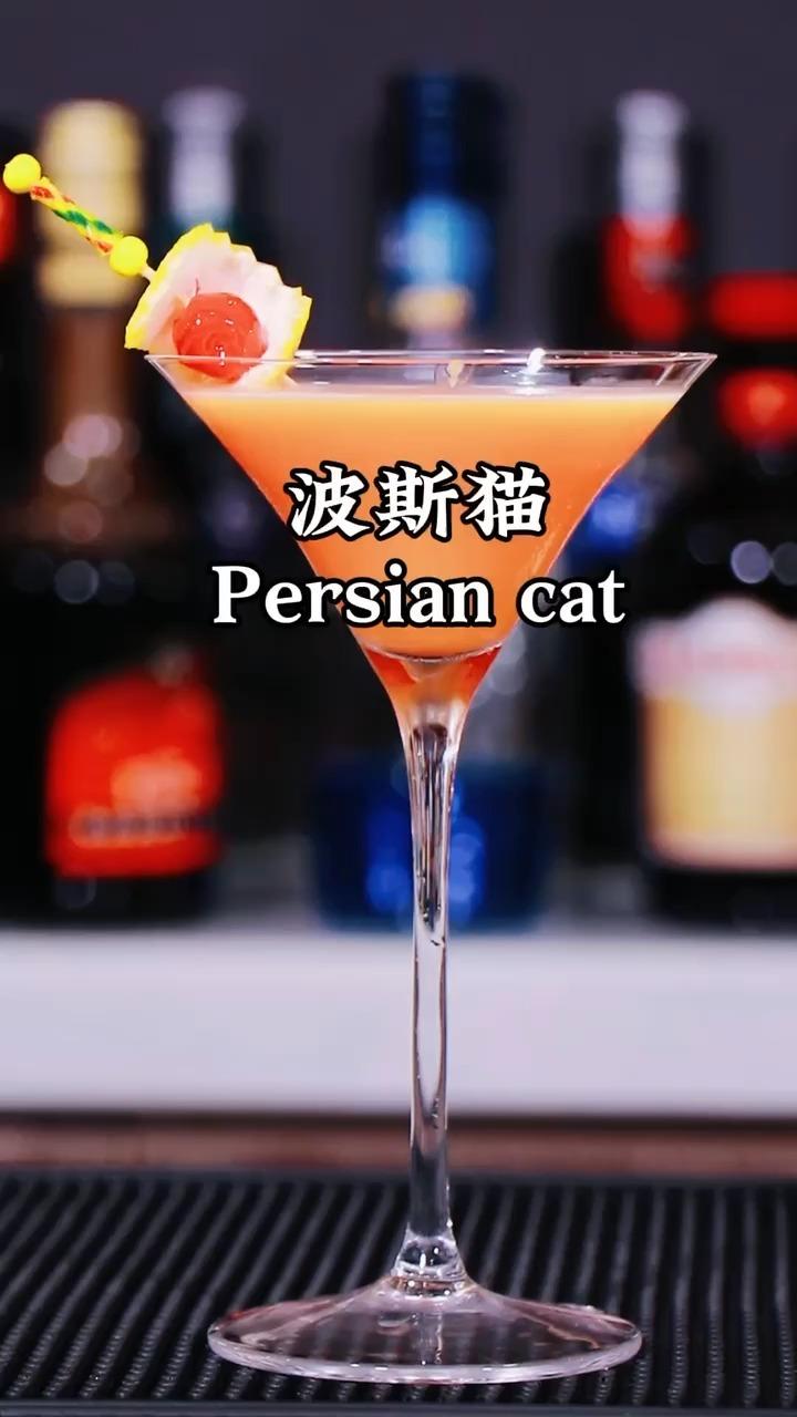 波斯猫鸡尾酒图片