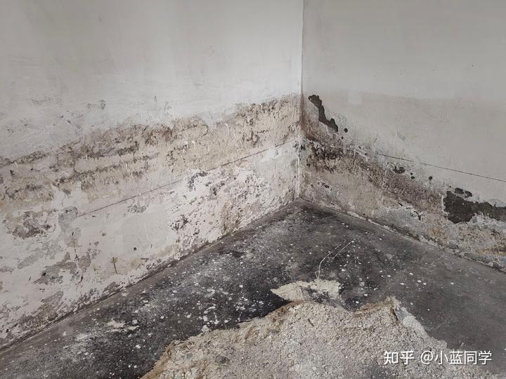 人，可以废物到什么程度？