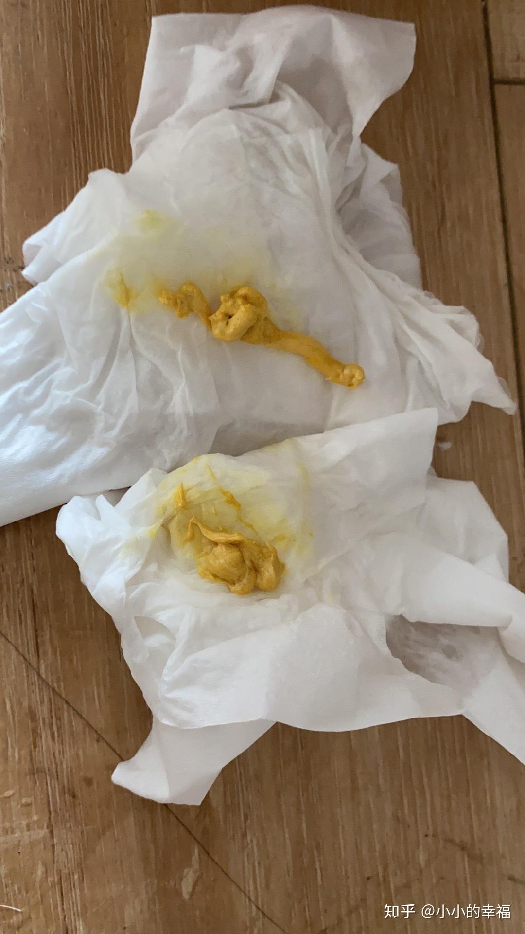 小奶猫拉黄色稀便 知乎