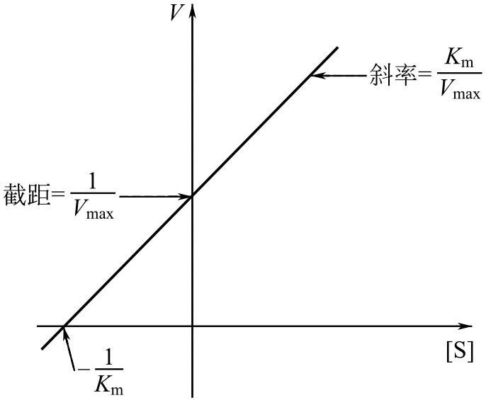 知乎盐选 任务四 影响酶促反应的因素