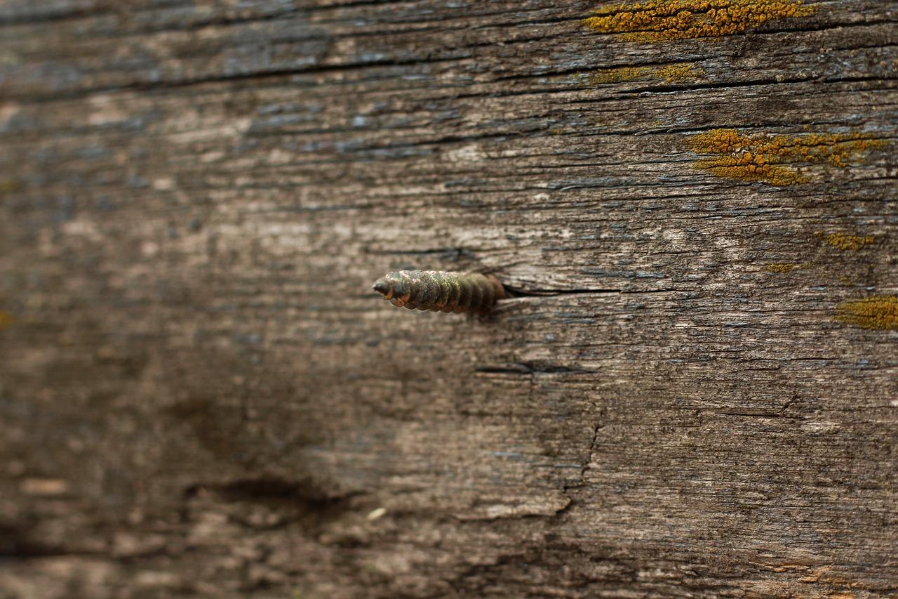 定制家居风格搭配