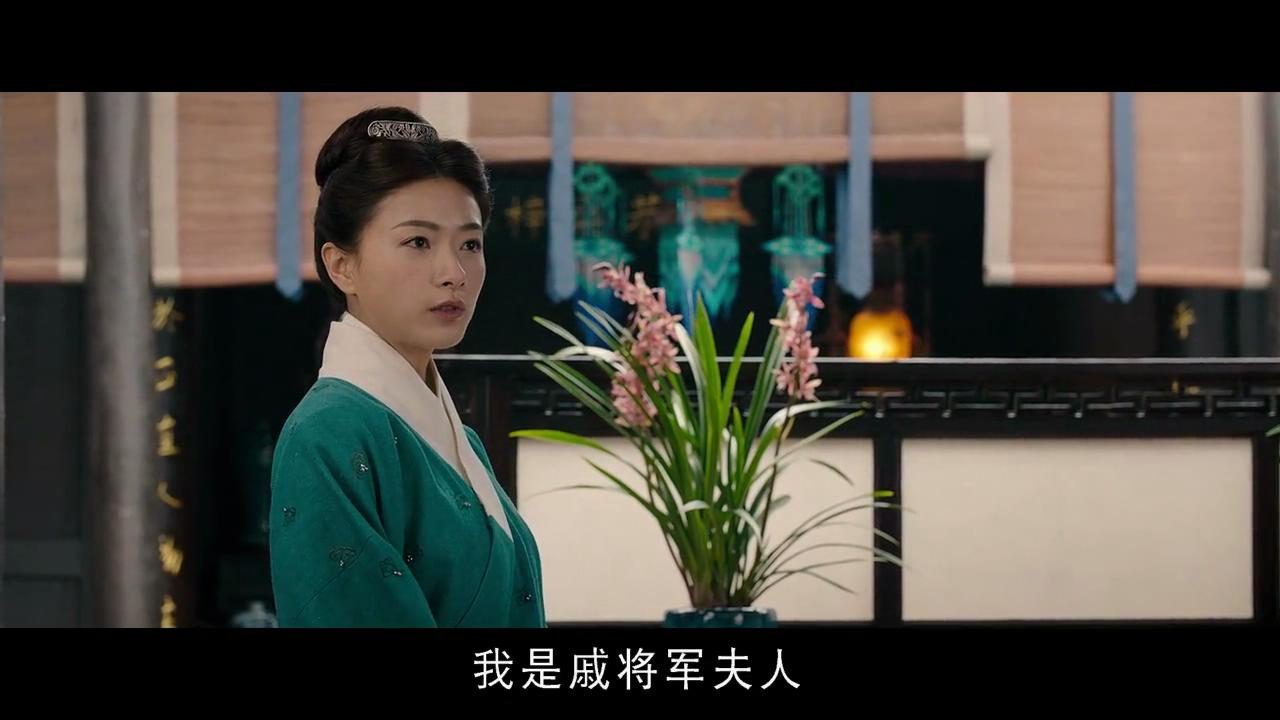 演的戚继光真的太帅了,而万茜,其演的戚继光之妻戚夫人更是皆温柔