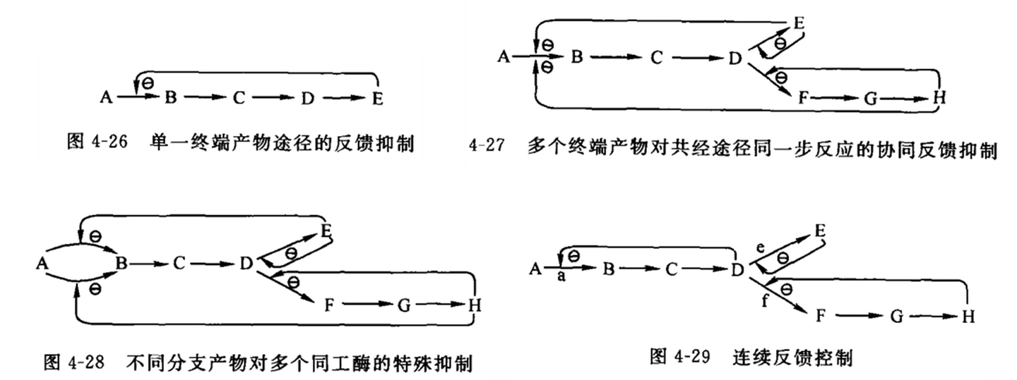 酶的反馈抑制 - 知乎