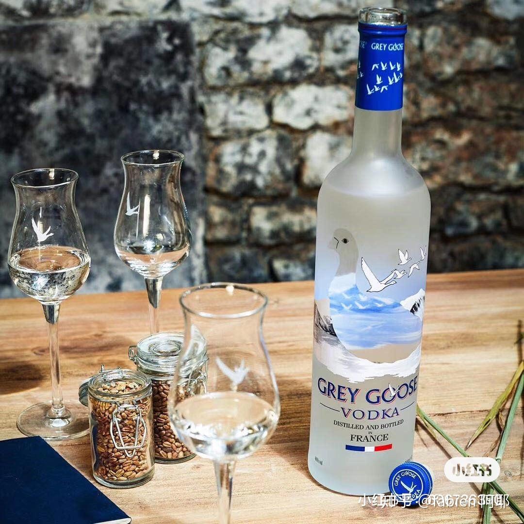 灰雁伏特加 - 知乎